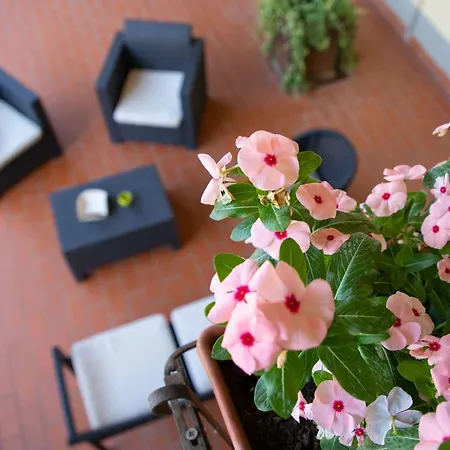 Al Frantoio Maddii Bed and Breakfast Levane